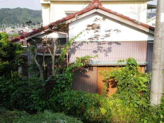 Local land photo. Local Photos