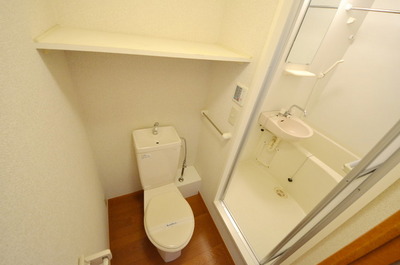 Other. Toilet