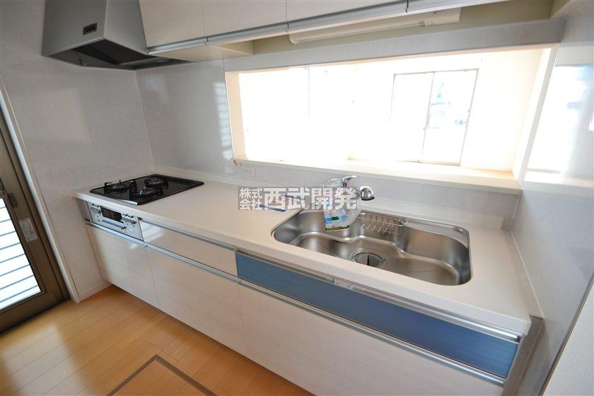 Kitchen. Indoor (10 May 2013) Shooting