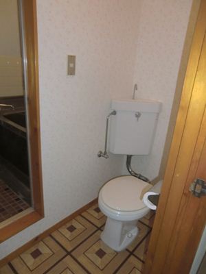 Toilet. Toilet in the back is the bath