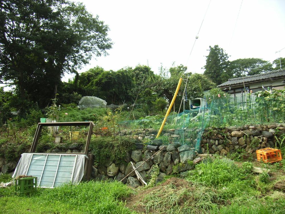 Local land photo. Local (September 2013) Shooting