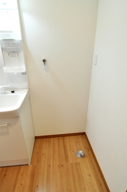 Other room space. Laundry Area