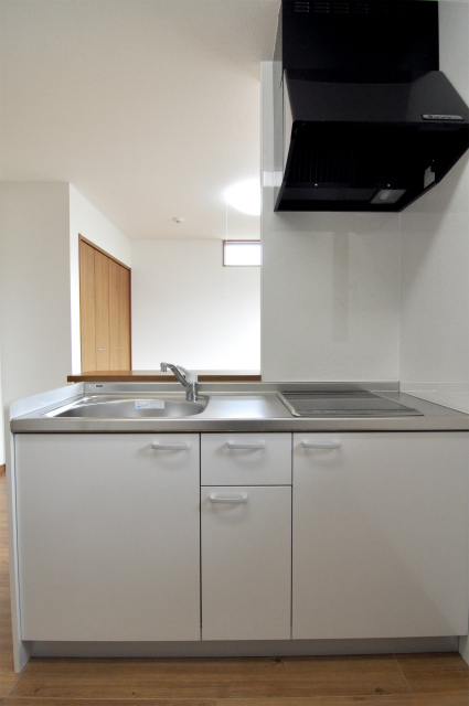 Kitchen. System kitchen with IH cooking heater