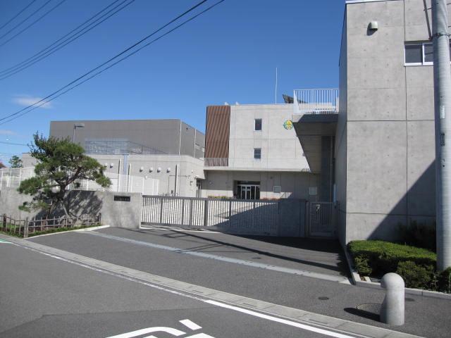 Other. Ring around the moon elementary school