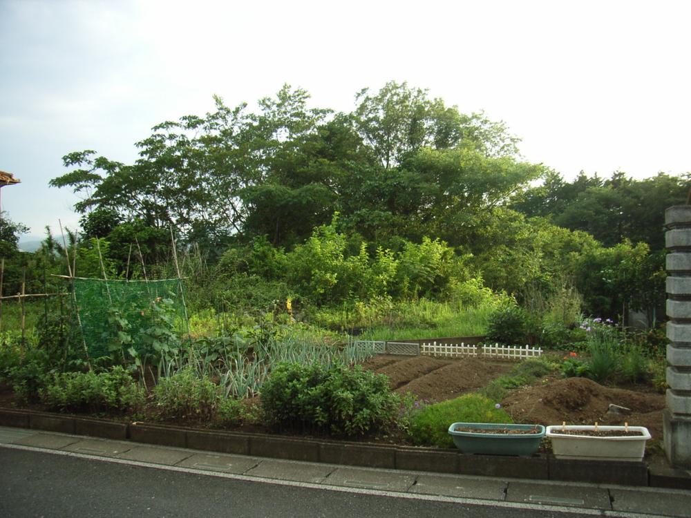 Local land photo. Local (June 2013) Shooting