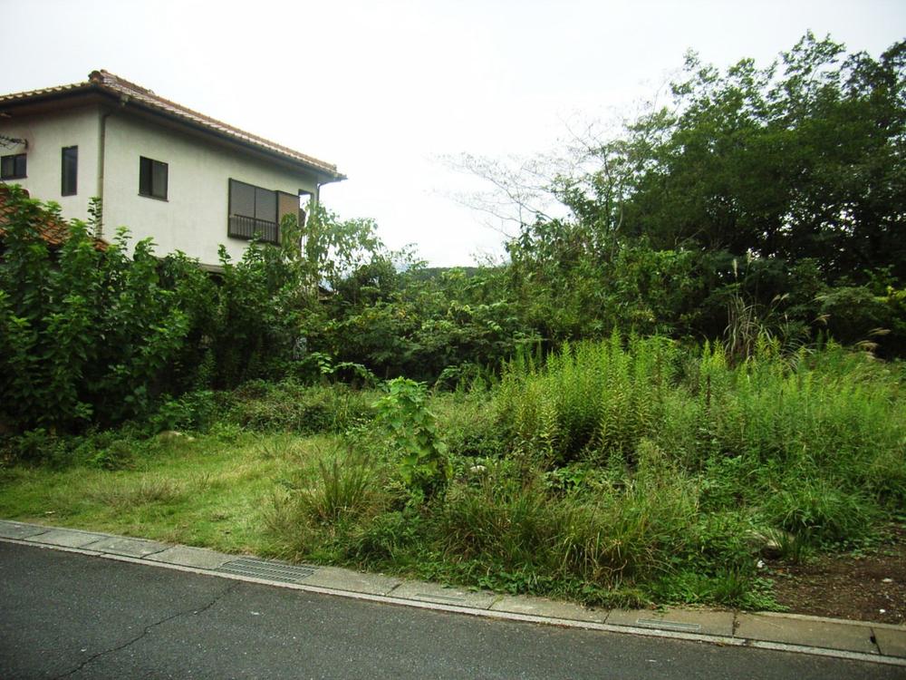 Local land photo. Local (September 2013) Shooting