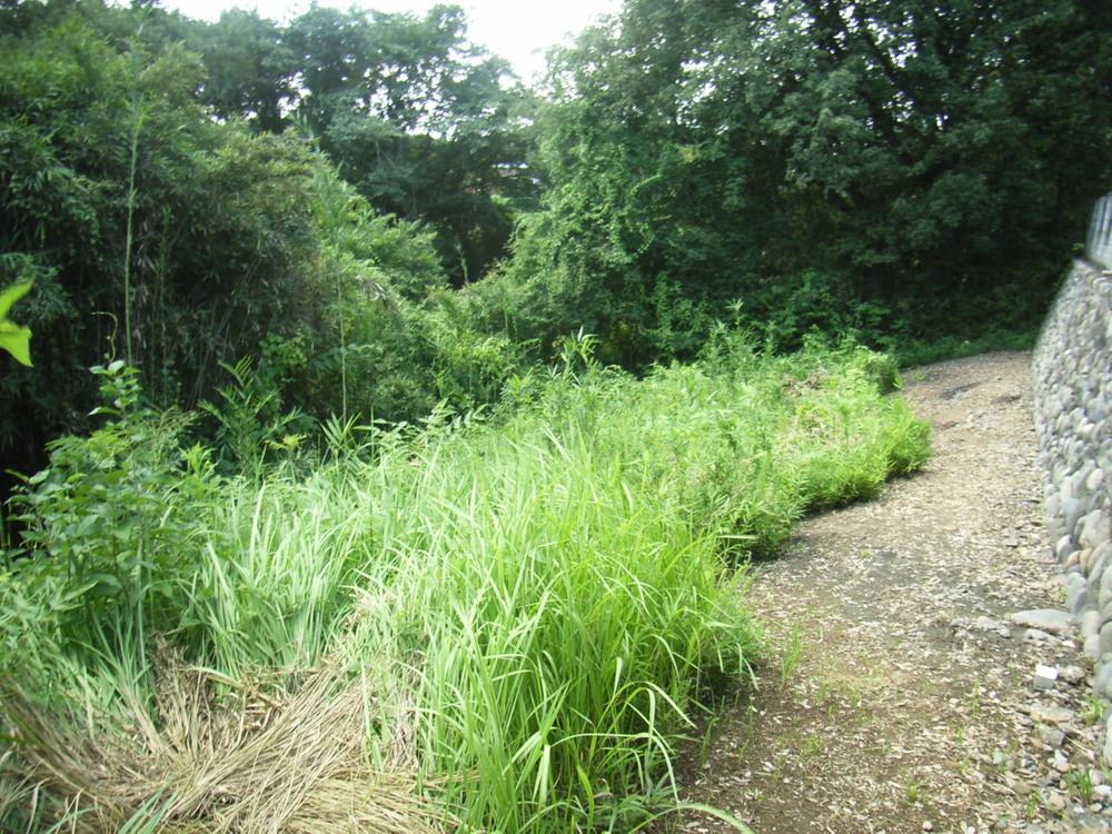 Local land photo. Local (September 2013) Shooting