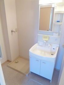 Washroom. Shampoo dresser