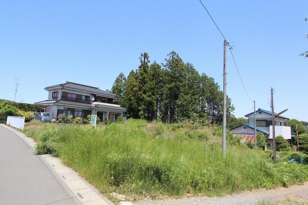 Local land photo. local