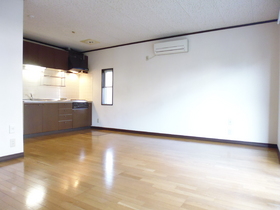 Living and room. With system Kitchen