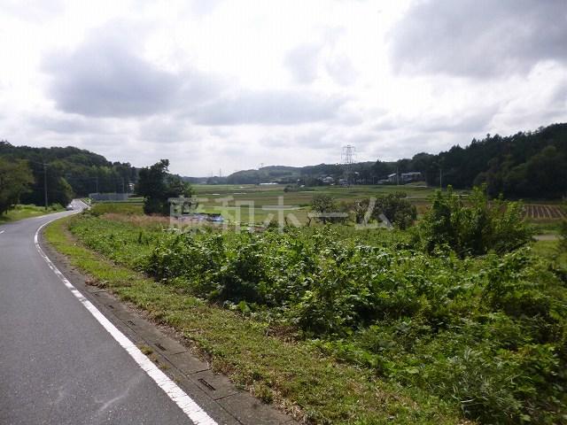 Local land photo. Local (10 May 2013) Shooting