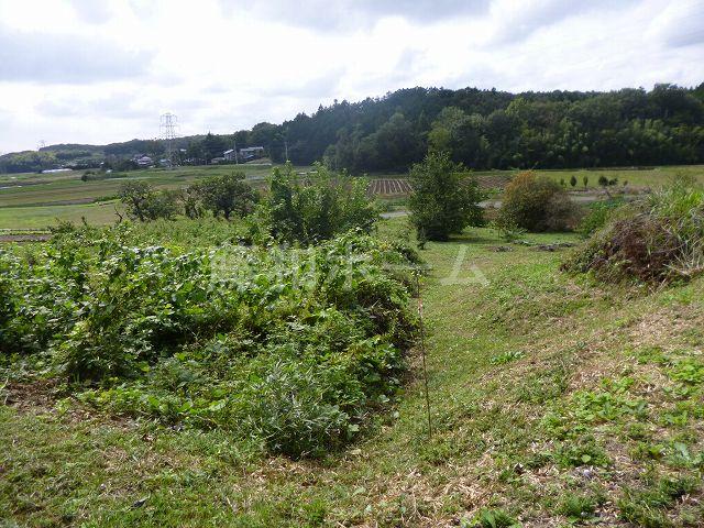 Local land photo. Local (10 May 2013) Shooting