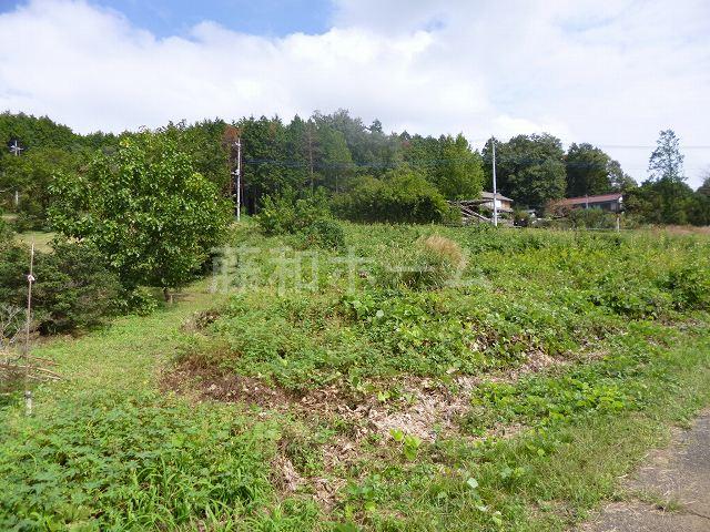 Local land photo. Local (10 May 2013) Shooting