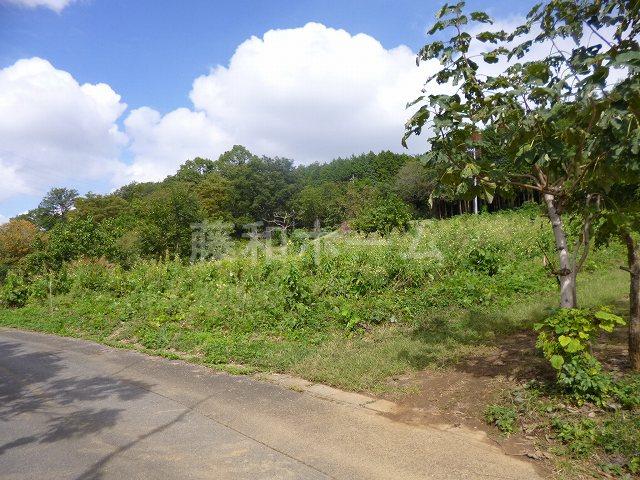 Local land photo. Local (10 May 2013) Shooting