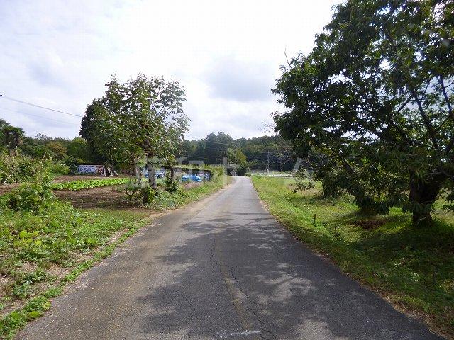 Local photos, including front road. Local (10 May 2013) Shooting