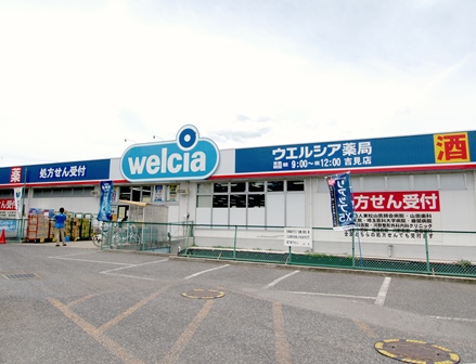 Dorakkusutoa. Drugstore Uerushia 650m to (drugstore)