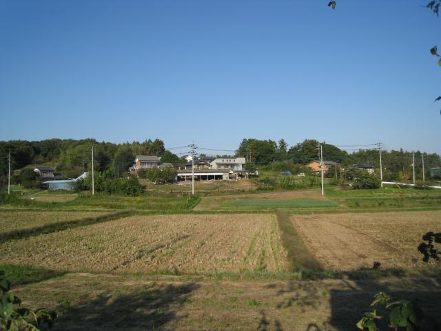 View photos from the local