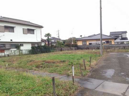 Local land photo. Appearance (1)