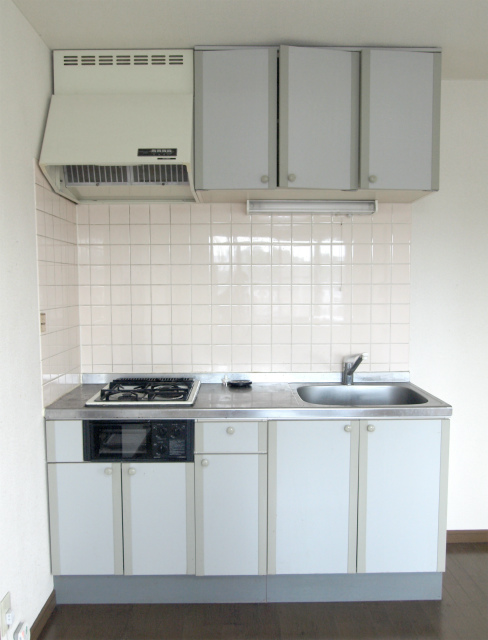 Kitchen. Gas stove 2-neck with a kitchen