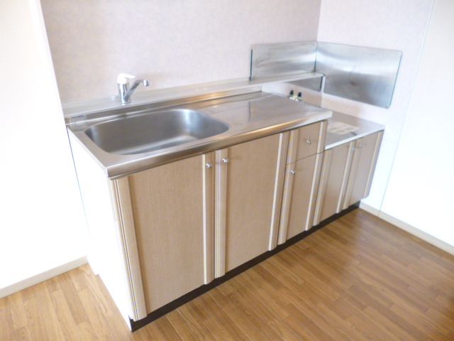 Kitchen. Spacious sink two-burner gas stove installation Allowed