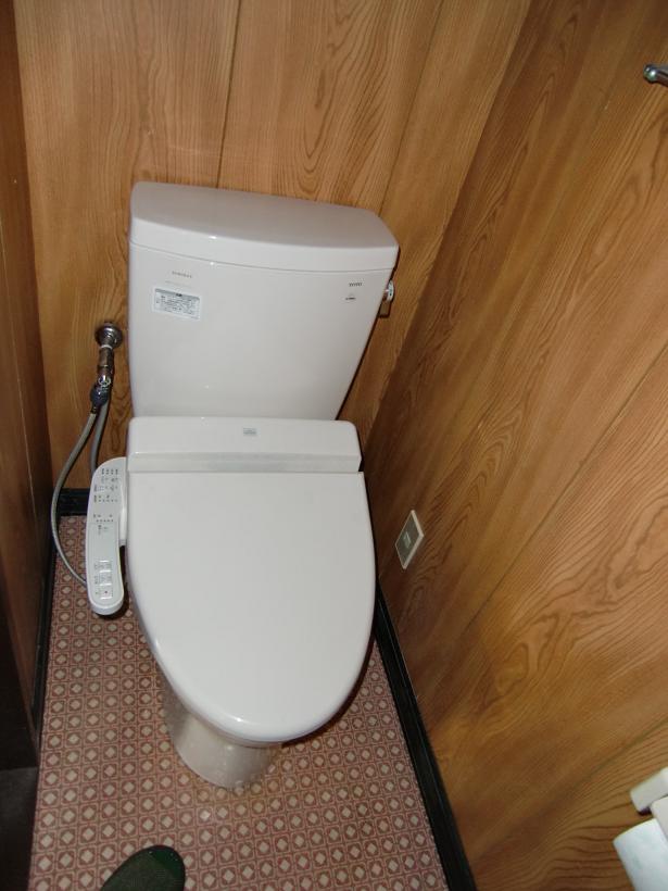 Toilet. Flush toilet