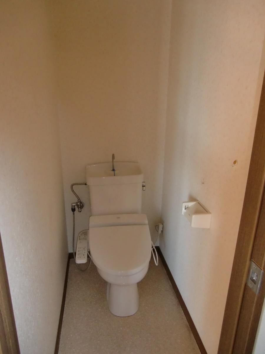 Toilet. Flush toilet