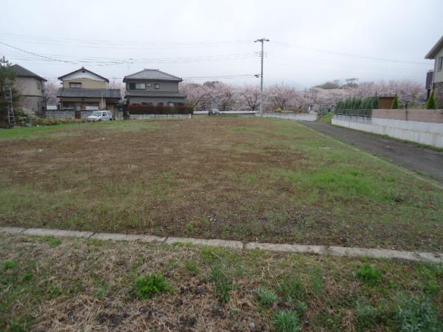 View photos from the local