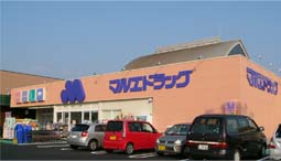 Dorakkusutoa. Marue drag Honjo Kashiwaten 320m to (drugstore)