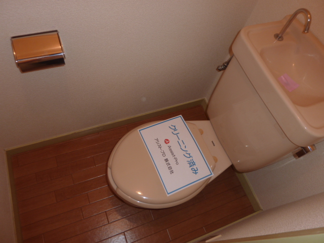 Toilet. Small and toilet space.