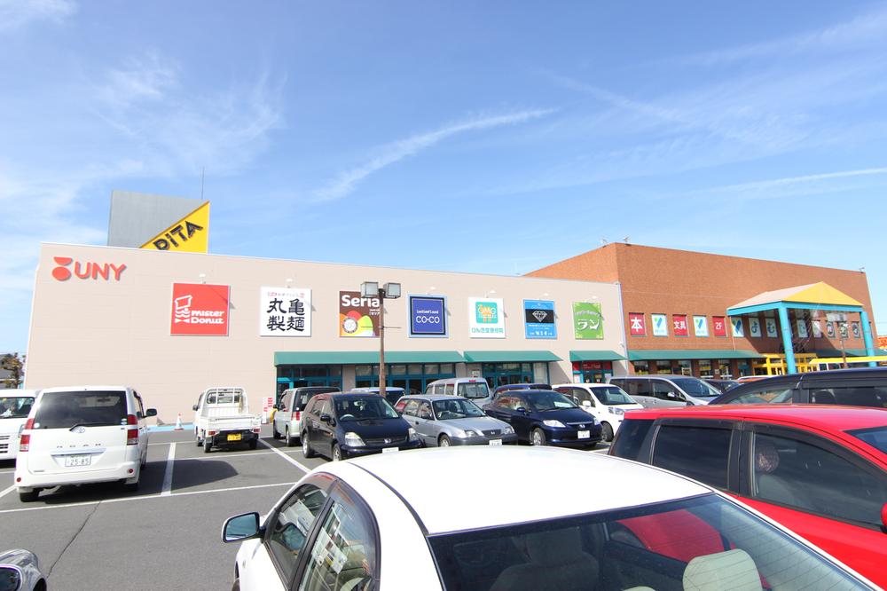 Shopping centre. Apita