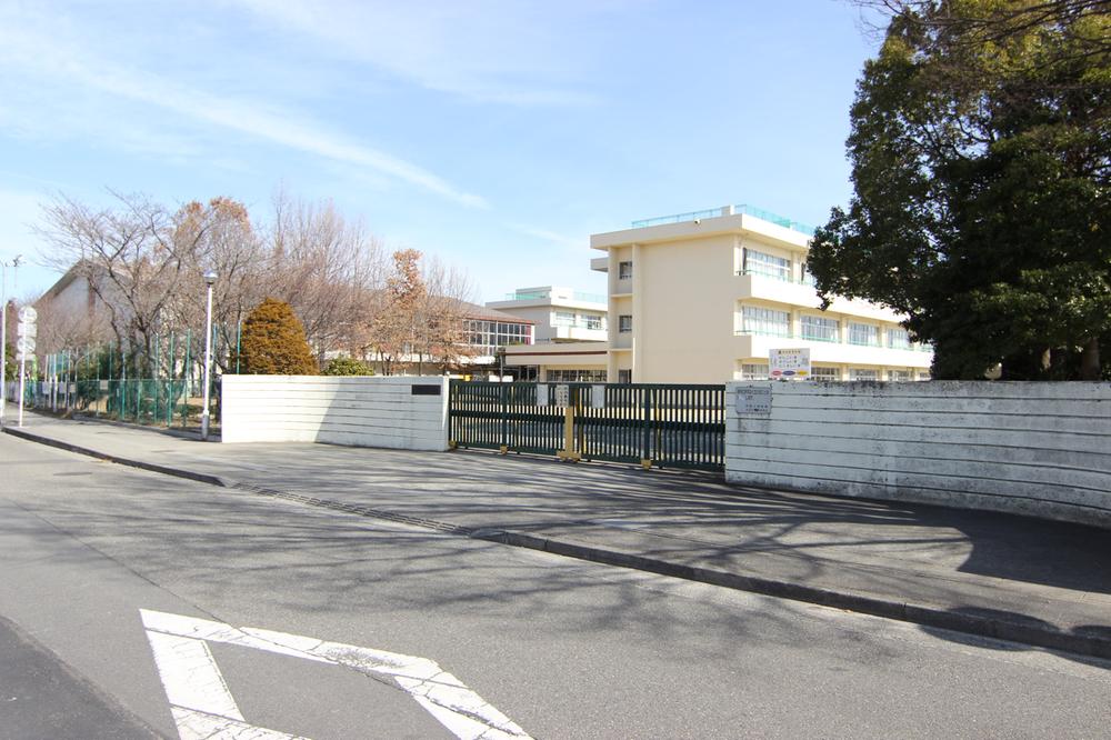 Primary school. Central Small