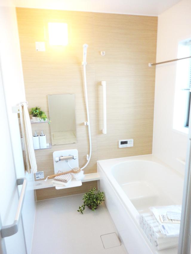 Bathroom. Same specifications bathtub unit bus