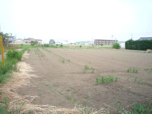 Local land photo