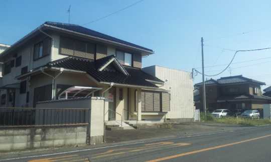 Local land photo. Appearance (1)