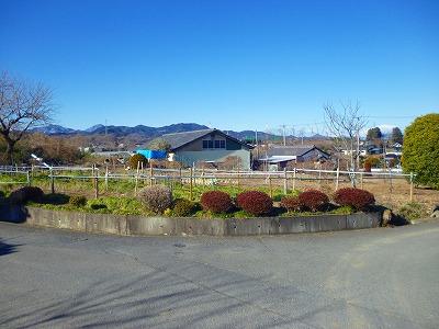 Local land photo. Local (February 2012) Shooting