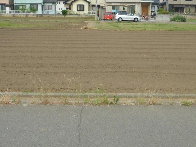 View photos from the local. View from the site (July 2013) Shooting