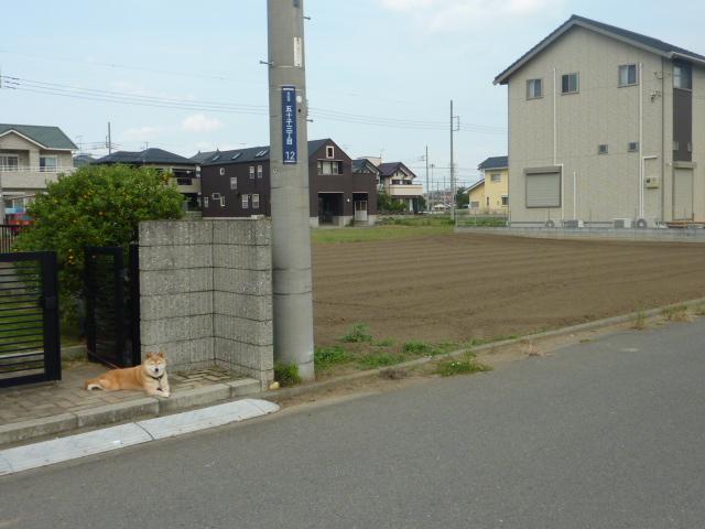 View photos from the local. View from the site (July 2013) Shooting