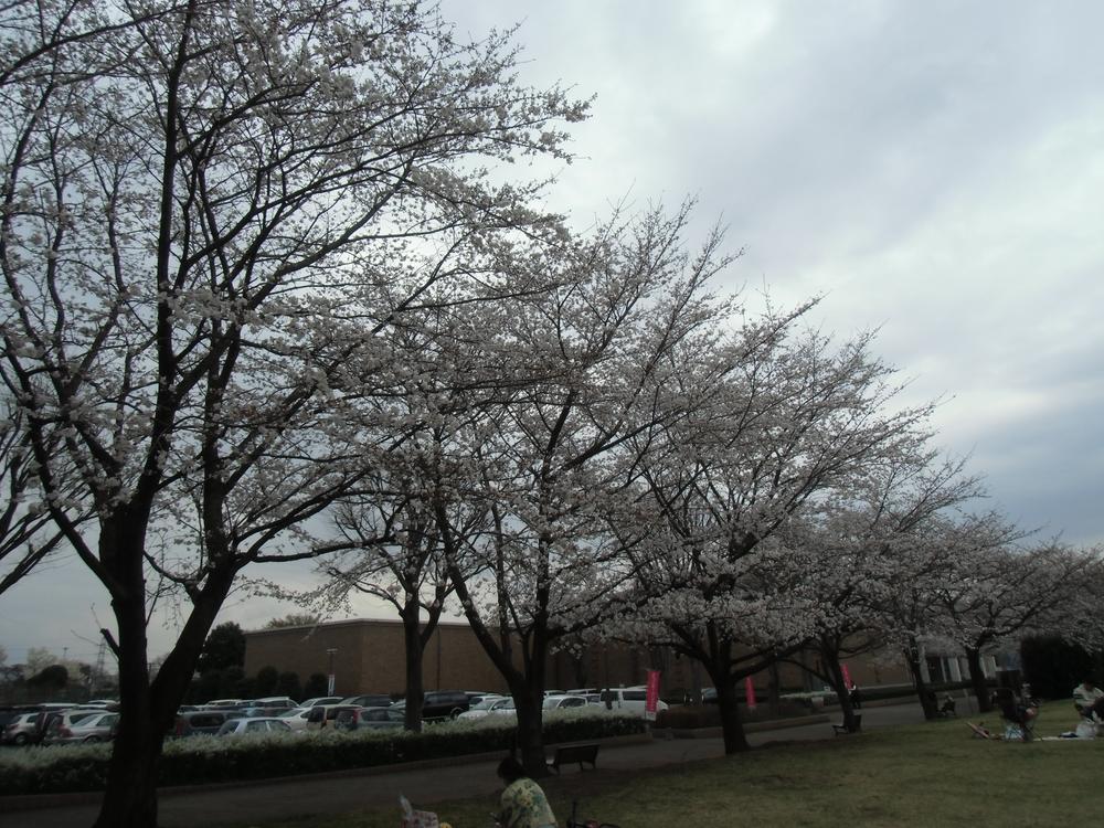 Other. Iruma City Museum