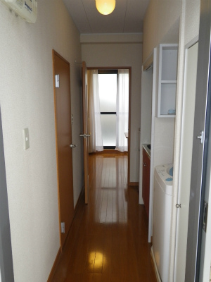 Other. Large shoebox storage space in the entrance next to