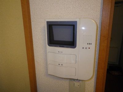 Other. Also comes with a TV monitor interphone!