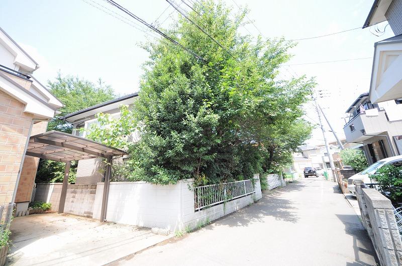 Local photos, including front road. Local (August 2013) Shooting