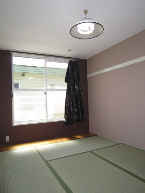 Living and room. Beautiful tatami