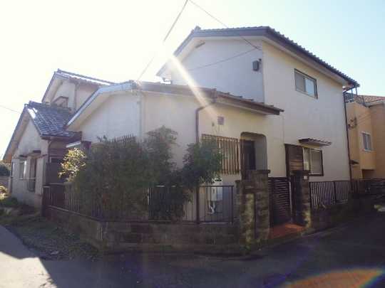 Local land photo. Appearance (1)