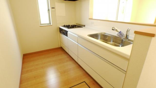 Same specifications photos (Other introspection)