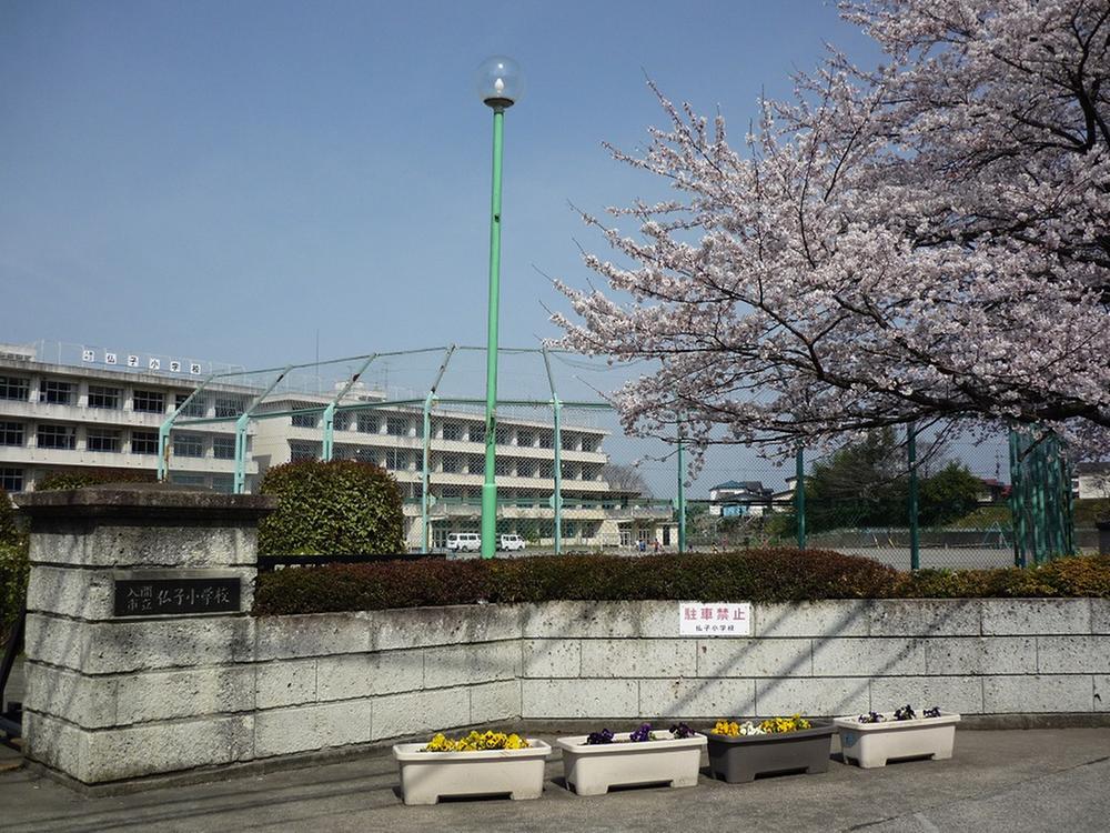 Primary school. Bush until the elementary school 460m