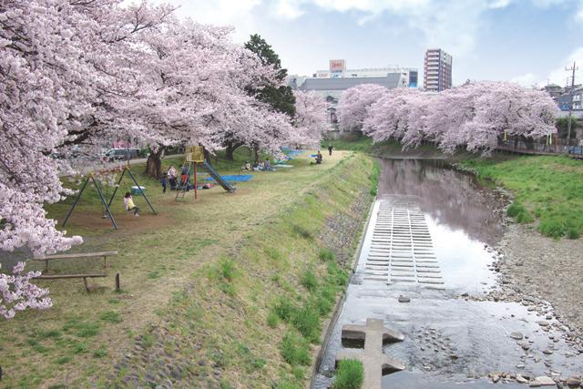 Streets around. 80m until Sakurazutsumi of Kasumigawa