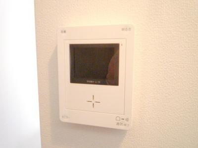 Security. TV Monitahon