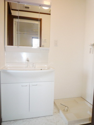 Washroom. Shampoo dresser