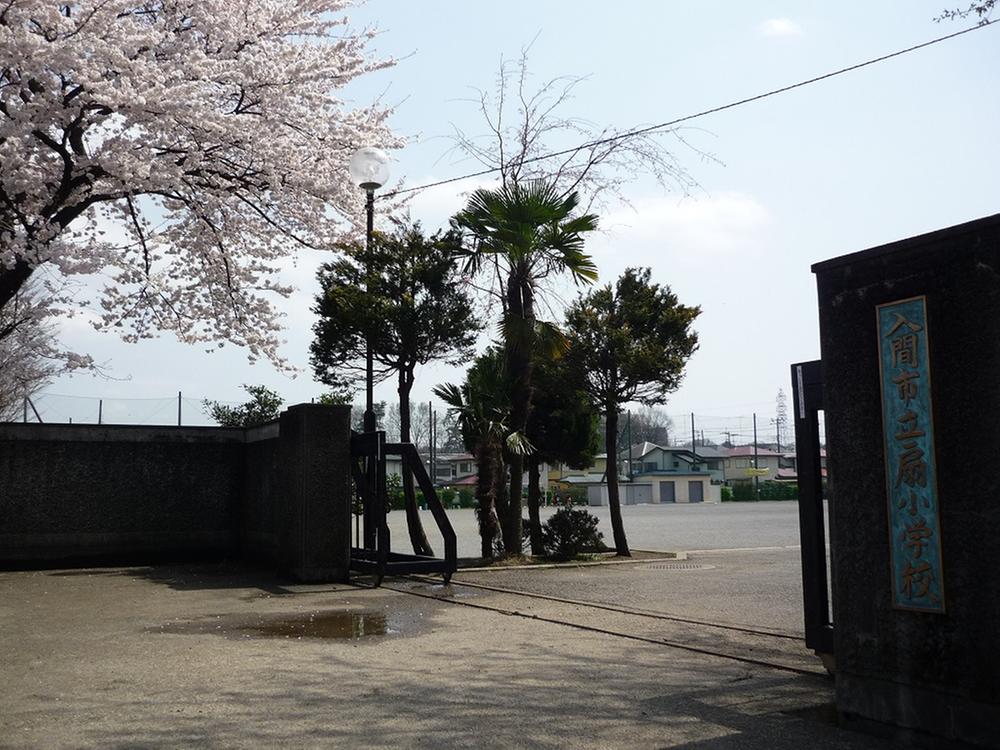 Primary school. Until the fan elementary school 950m