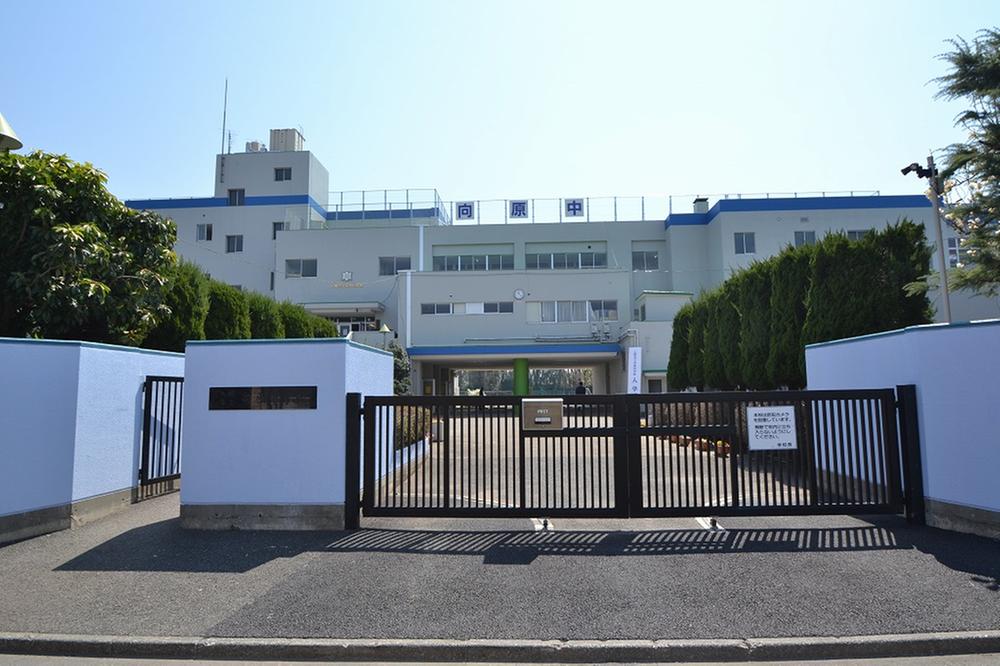 Junior high school. Mukaihara 1200m until junior high school
